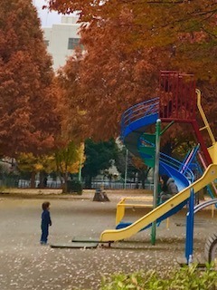 IMG_1370.jpg