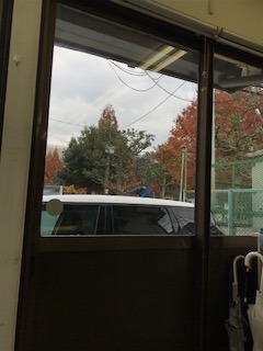 IMG_1373.jpg