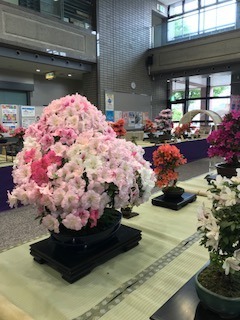 IMG_2766.jpg