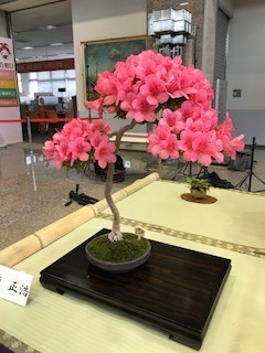 IMG_2767.jpg
