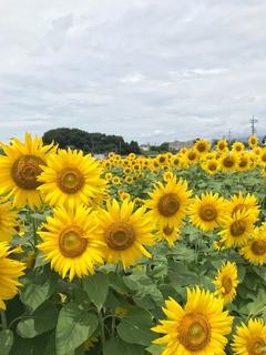 IMG_3045.jpg