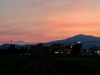 IMG_3136.jpg
