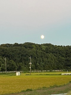 IMG_3454.jpg