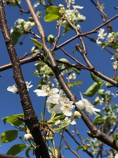 IMG_3773.jpg