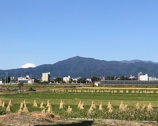 IMG_3889.jpg