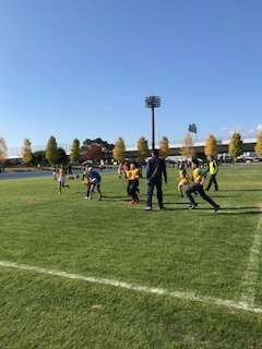 IMG_4215.jpg