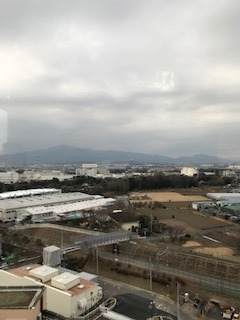 IMG_4585.jpg