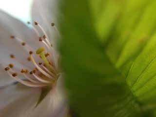 IMG_6458.JPG