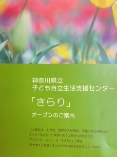 IMG_8987.JPG